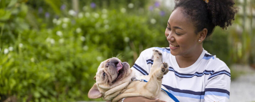 11869675-afrikansk-amerikan-kvinna-ar-spelar-med-henne-franska-bulldogg-valp-medan-gaende-i-de-hund-parkera-pa-gras-grasmatta-efter-har-morgon-ovning-under-de-sommar-gratis-fotona 11869675-afrikansk-amerikan-kvinna-ar-spelar-med-henne-franska-bulldogg-valp-medan-gaende-i-de-hund-parkera-pa-gras-grasmatta-efter-har-morgon-ovning-under-de-sommar-gratis-fotona