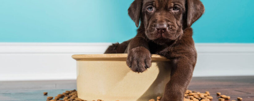 UPS66CWOGRDYPNHN27TA5ESREM