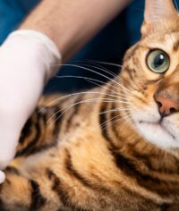 img-postgrid7 img-postgrid7